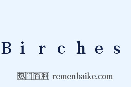 Birches是什么意思的图片